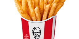 Secret Recipe Fries